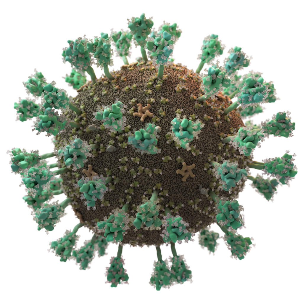 Coronavirus Virion