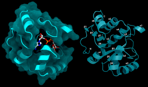 NSP3 Macrodomain 1