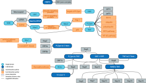 NSP3 Interaction Network