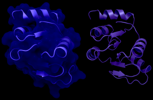 NSP3 Macrodomain 2