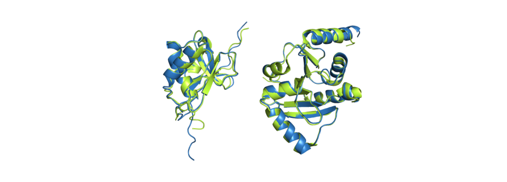 AlphaFold – ein Game Changer in der Strukturbiologie? 2