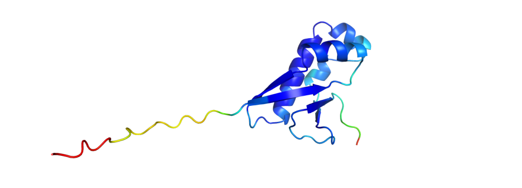 AlphaFold – ein Game Changer in der Strukturbiologie? 3