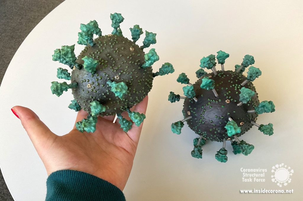 Update: How to make your own 3D printed coronavirus model version 2 16