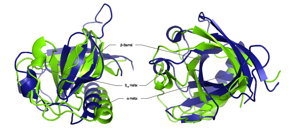Structural biology of SARS-CoV-2 leader protein (nsp1) 1