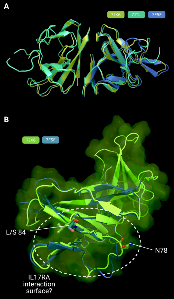 Structural biology of SARS-CoV-2 accessory proteins 3